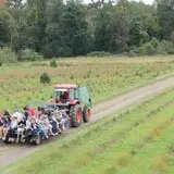 Wilkens Fruit & Fir Farm photo