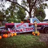 Wilkens Fruit & Fir Farm photo