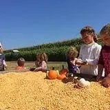 Fairview Farm Corn Maze photo
