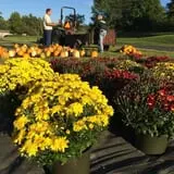 Rocky Ridge Orchard Pumpkin Patch & Wagon Rides photo