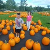 Rocky Ridge Orchard Pumpkin Patch & Wagon Rides photo