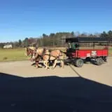 Rocky Ridge Orchard Pumpkin Patch & Wagon Rides photo
