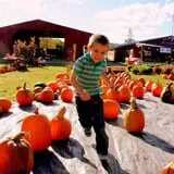 Rocky Ridge Orchard Pumpkin Patch & Wagon Rides photo