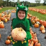 Rocky Ridge Orchard Pumpkin Patch & Wagon Rides photo