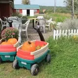 Rocky Ridge Orchard Pumpkin Patch & Wagon Rides photo