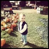 Rocky Ridge Orchard Pumpkin Patch & Wagon Rides photo