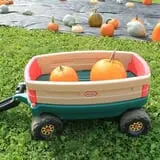 Rocky Ridge Orchard Pumpkin Patch & Wagon Rides photo