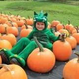 Rocky Ridge Orchard Pumpkin Patch & Wagon Rides photo