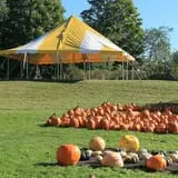 Rocky Ridge Orchard Pumpkin Patch & Wagon Rides photo