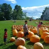Rocky Ridge Orchard Pumpkin Patch & Wagon Rides photo