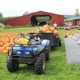 Rocky Ridge Orchard Pumpkin Patch & Wagon Rides photo