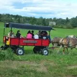 Rocky Ridge Orchard Pumpkin Patch & Wagon Rides photo