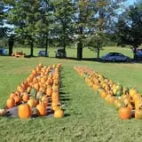 Rocky Ridge Orchard Pumpkin Patch & Wagon Rides photo