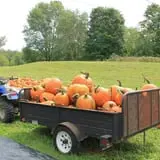 Rocky Ridge Orchard Pumpkin Patch & Wagon Rides photo