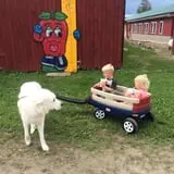 Rocky Ridge Orchard Pumpkin Patch & Wagon Rides photo