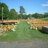 Rocky Ridge Orchard Pumpkin Patch & Wagon Rides photo