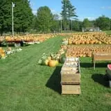 Rocky Ridge Orchard Pumpkin Patch & Wagon Rides photo