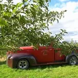 Rocky Ridge Orchard Pumpkin Patch & Wagon Rides photo