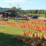 Rocky Ridge Orchard Pumpkin Patch & Wagon Rides photo