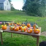 Rocky Ridge Orchard Pumpkin Patch & Wagon Rides photo