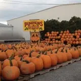 Golden Harvest Farms photo