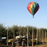 Golden Harvest Farms photo