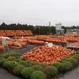 Golden Harvest Farms photo