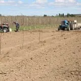 Golden Harvest Farms photo