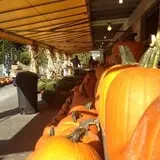 Golden Harvest Farms photo