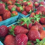 Golden Harvest Farms photo
