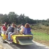 Golden Harvest Farms photo