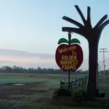 Golden Harvest Farms photo