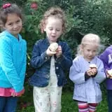 Golden Harvest Farms photo