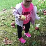 Golden Harvest Farms photo