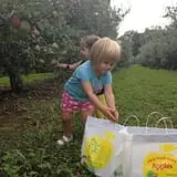Golden Harvest Farms photo