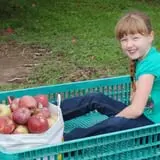 Golden Harvest Farms photo