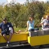 Golden Harvest Farms photo