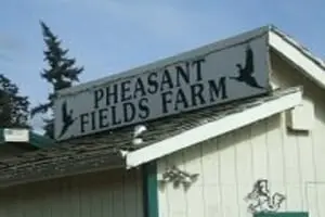 Pheasant Fields Farm