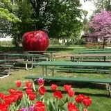 Robinette's Apple Haus & Winery photo