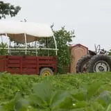 Johnson's Corner Farm photo