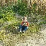 Johnson's Corner Farm photo