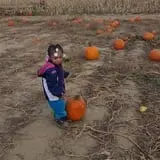 Johnson's Corner Farm photo