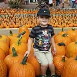 Johnson's Corner Farm photo