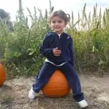 Johnson's Corner Farm photo