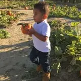 Johnson's Corner Farm photo