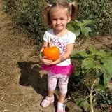 Johnson's Corner Farm photo