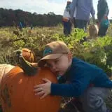 Johnson's Corner Farm photo