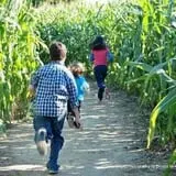 Johnson's Corner Farm photo