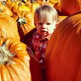 Johnson's Corner Farm photo
