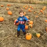 Johnson's Corner Farm photo
